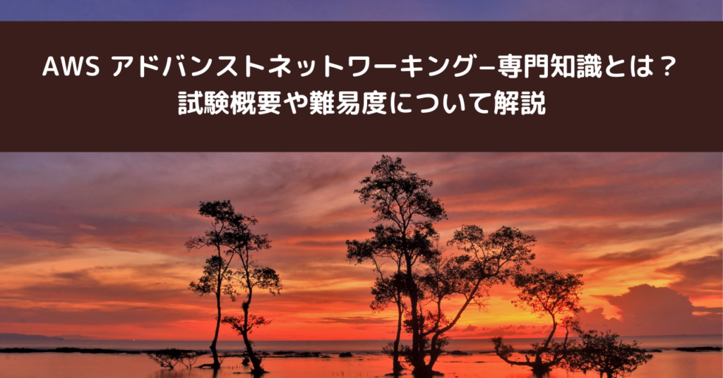 AWS アドバンストネットワーキング−専門知識とは？試験概要や難易度について解説