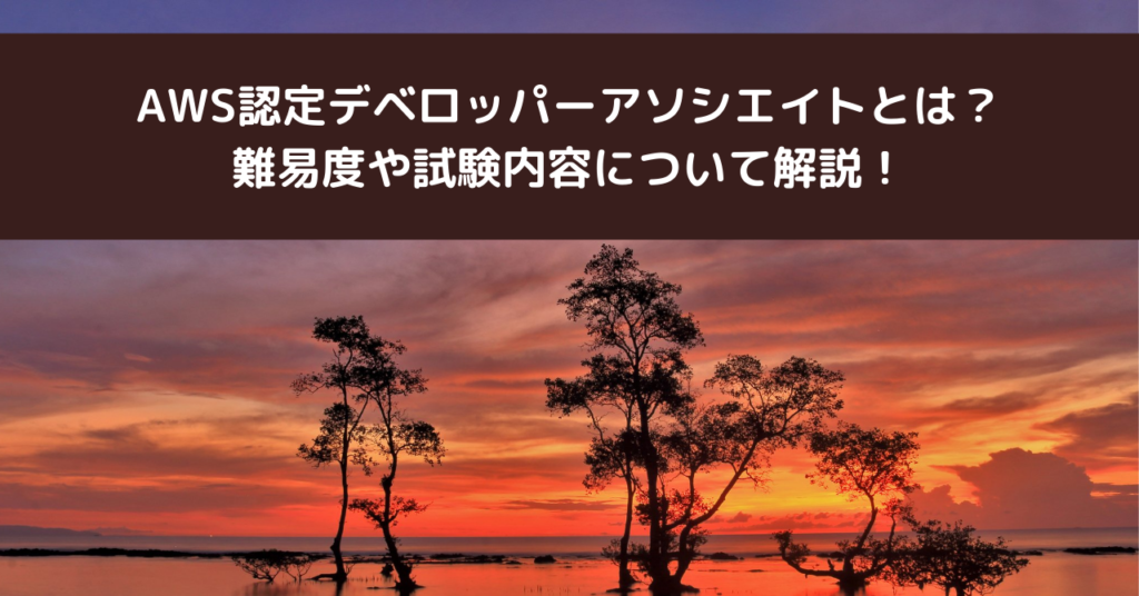 AWS認定デベロッパーアソシエイトとは？ 難易度や試験内容について解説！