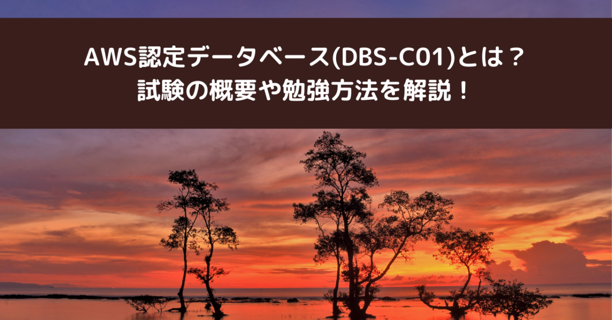 AWS認定データベース(DBS-C01)とは？試験の概要や勉強方法を解説！