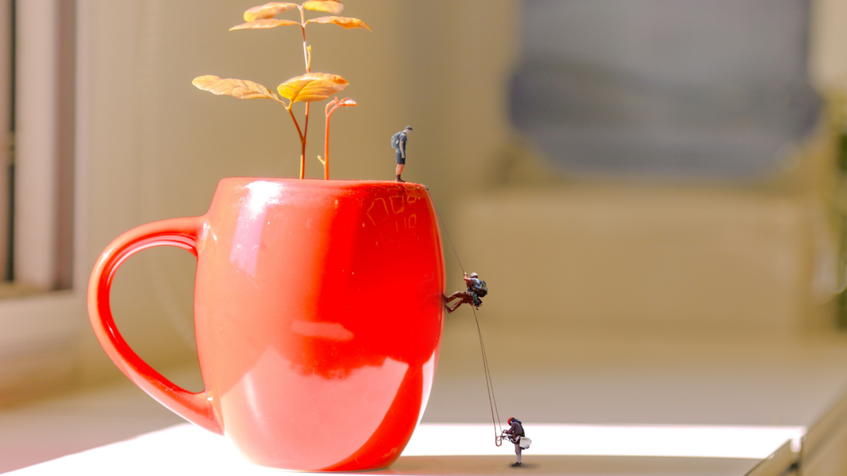 ビジネスロードマップ